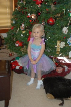 2010-12-25-128 Christmas in Colorado.jpg